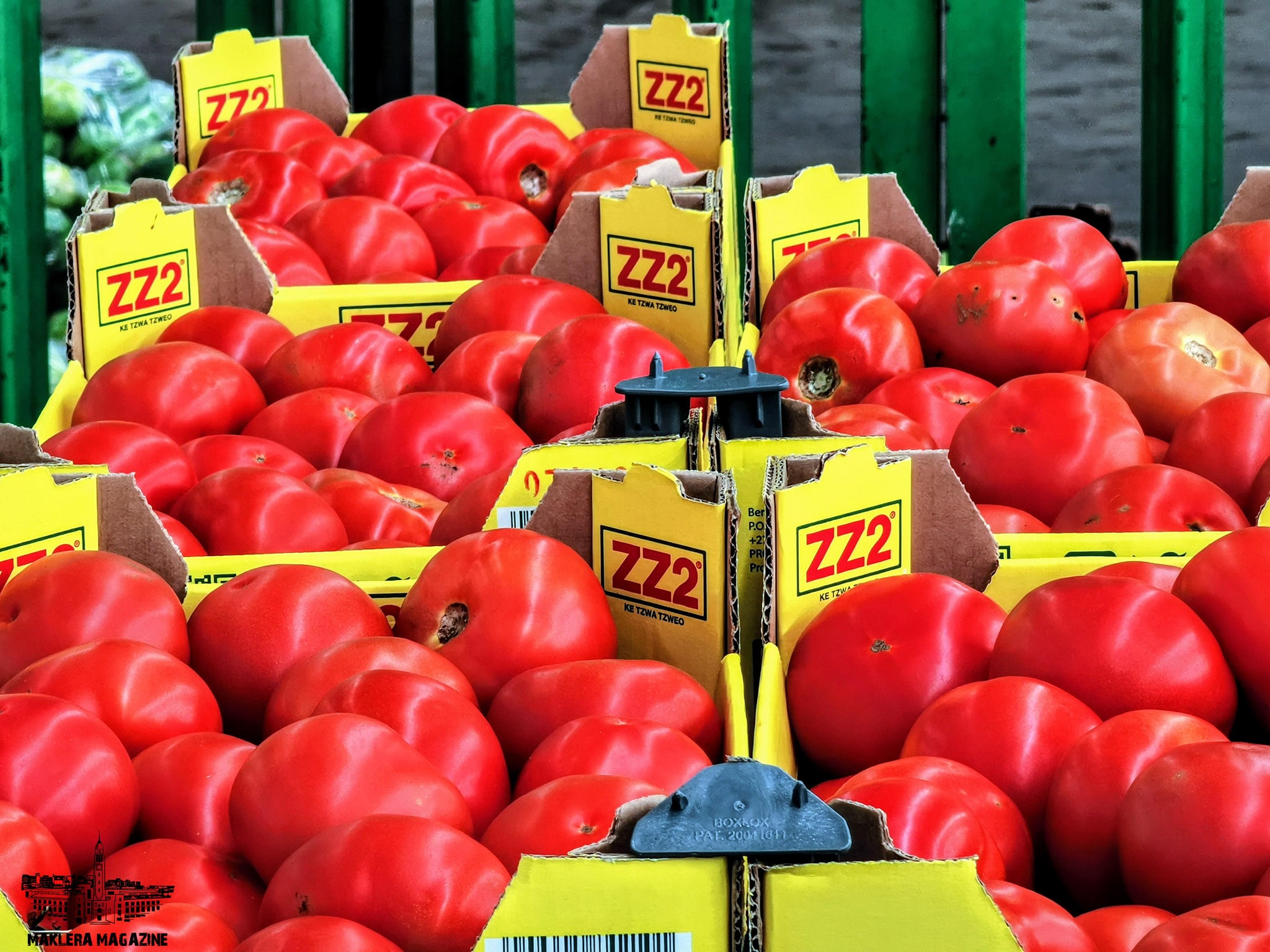 Fresh Tomatoes Display